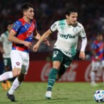 Cesar Greco/Palmeiras