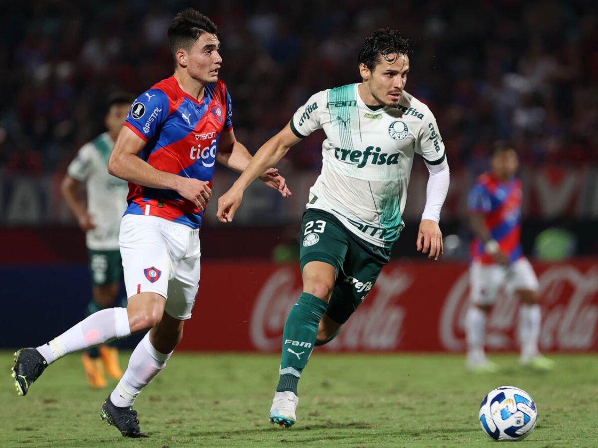 Cesar Greco/Palmeiras