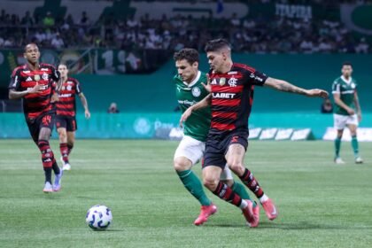 Palmeiras e Flamengo pelo 10ª rodada do Campeonato Brasileiro Foto: Theo Daolio