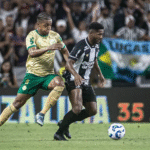 Foto: Divulgação/ Palmeiras