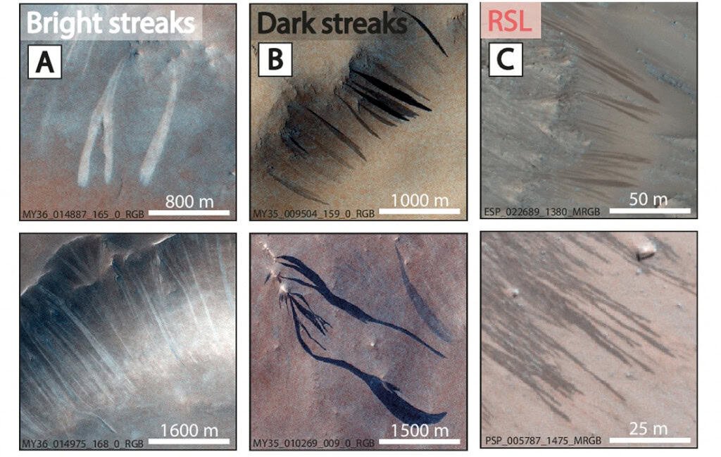 Foto: Bickel, V.T., Valantinas, A./Nature Communications