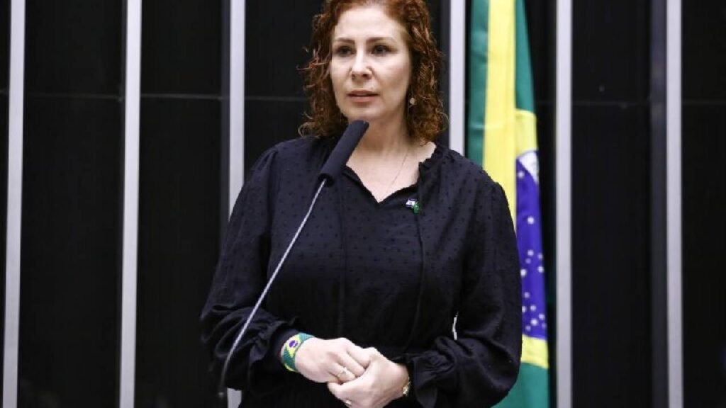 Zambelli na Câmara dos Deputados - Foto: Vinicius Loures/Câmara dos Deputados