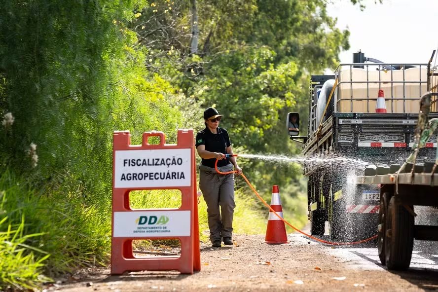 Carlos Fávaro Recursos serão utilizados para combater quatro emergências sanitárias que estão em curso, dentre elas a da gripe aviária - Foto: Marcelo Curia