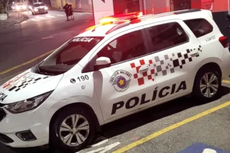 Criança de 6 anos salva mãe de violência doméstica