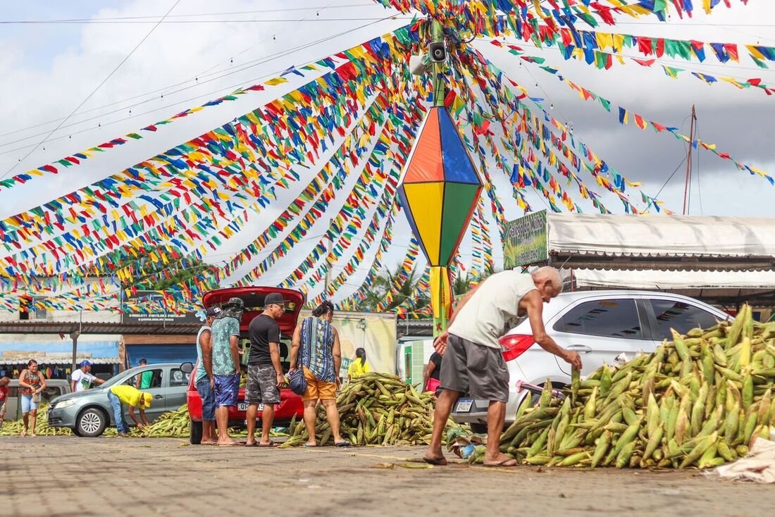 Pátio do Milho 2024 - Foto: Walli Fontenele/Folha de Pernambuco