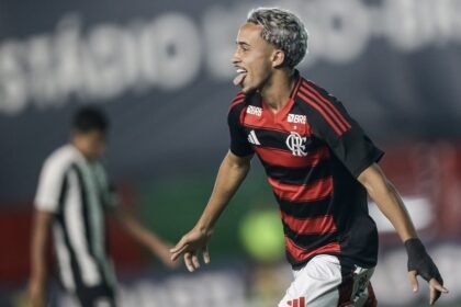 Foto: Gilvan de Souza/Flamengo