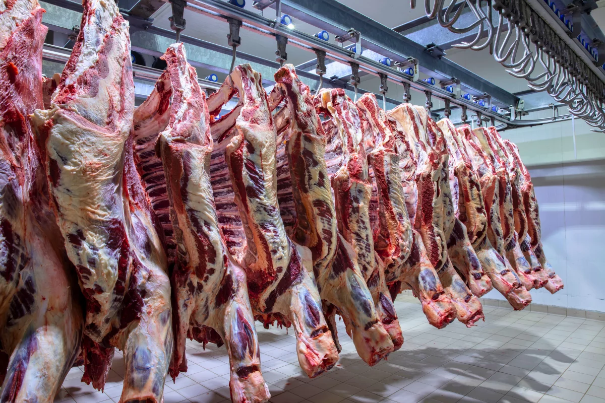 Preço da carne brasileira nos EUA sobe 12% e atinge US$ 5.850 por tonelada - Foto: Reprodução/Adobe Broadcast