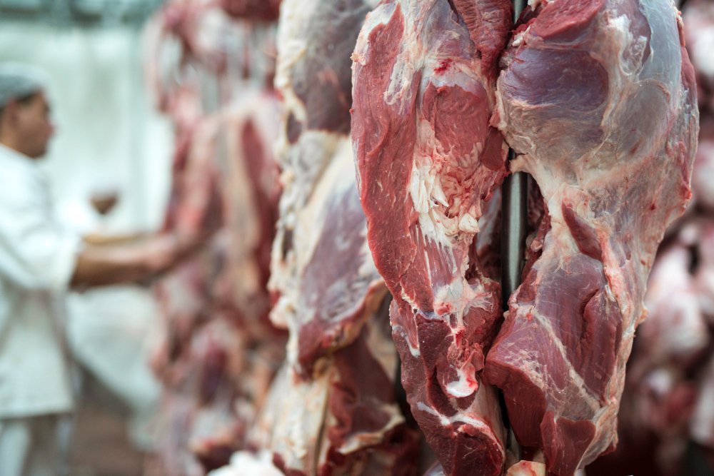 Apesar da incerteza do cenário, há avaliações de que a medida pode vir a causar uma queda na cotação do boi gordo e baratear o preço da carne para o mercado interno - Foto: Reprodução/Freepik