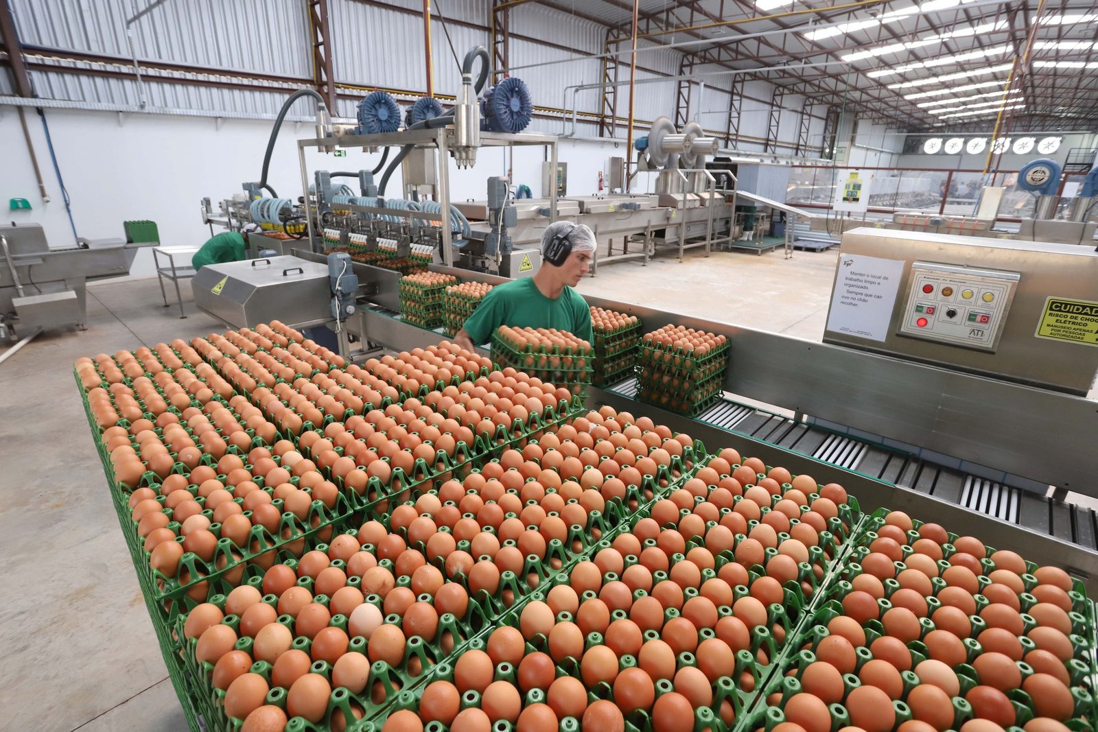 Com a menor demanda – devido sobretudo ao período de férias escolares –, produtores acabaram concedendo descontos nas negociações, o que intensificou a pressão sobre os valores - Foto: Reprodução/OvoSite