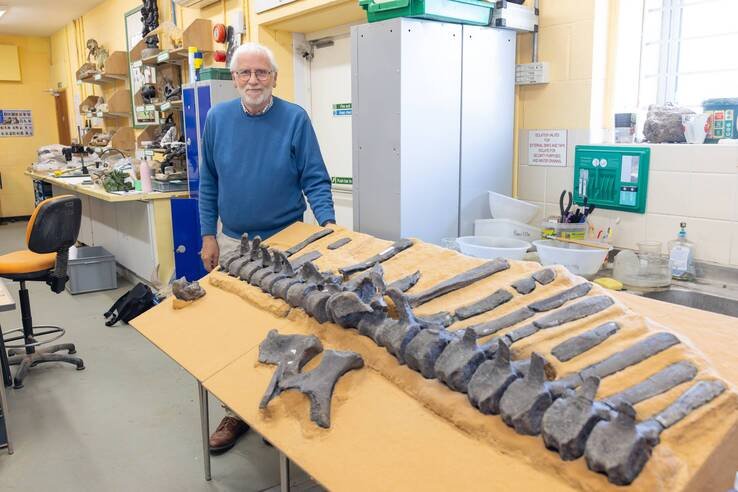 Dr. Jeremy Lockwood com a coluna vertebral de Istiorachis macarthurae. / Foto: divulgação
