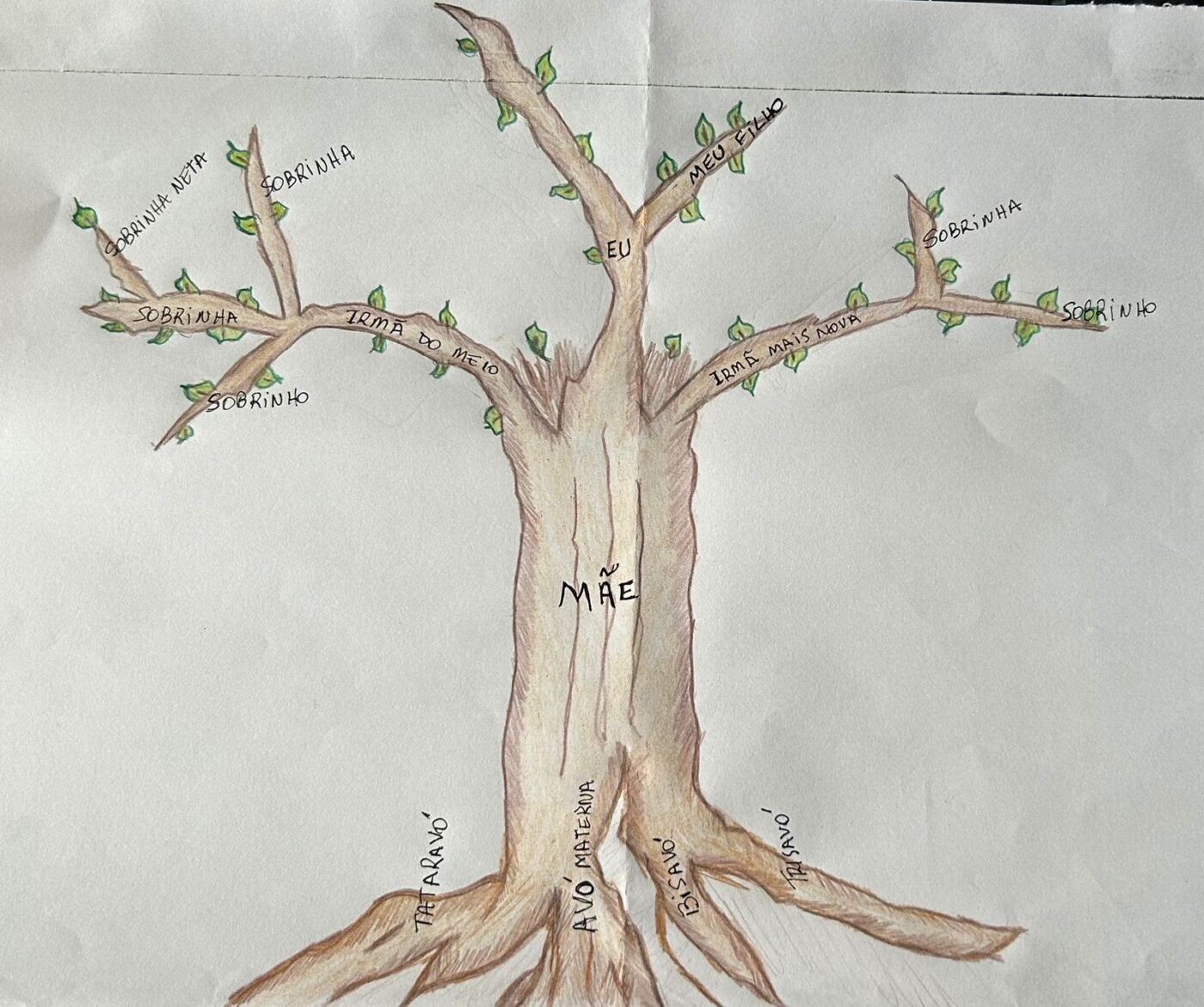 Minha árvore das mulheres fortes. Como seria a sua? Fonte: a autora