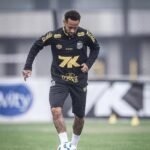 Foto: Raul Baretta / Santos FC
