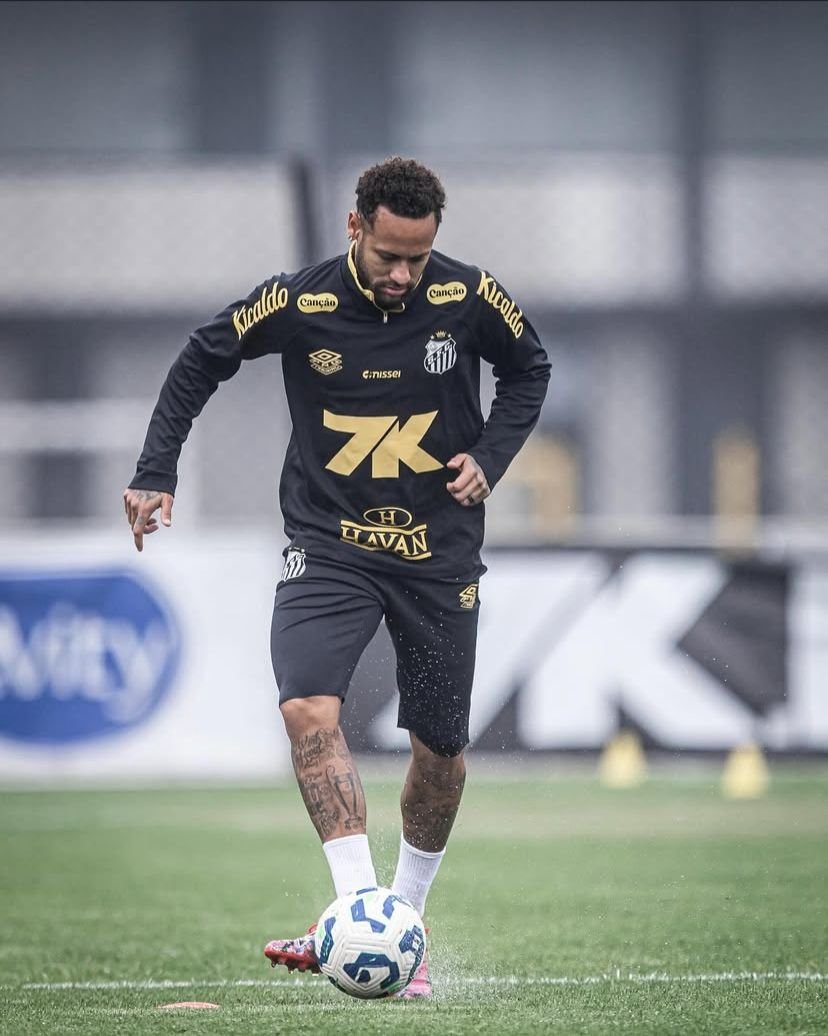 Foto: Raul Baretta / Santos FC