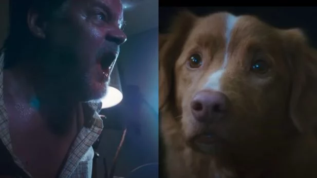 "Good Boy": Shane Jensen e o protagonista do filme, o Indy - Foto: Reprodução/Shudder