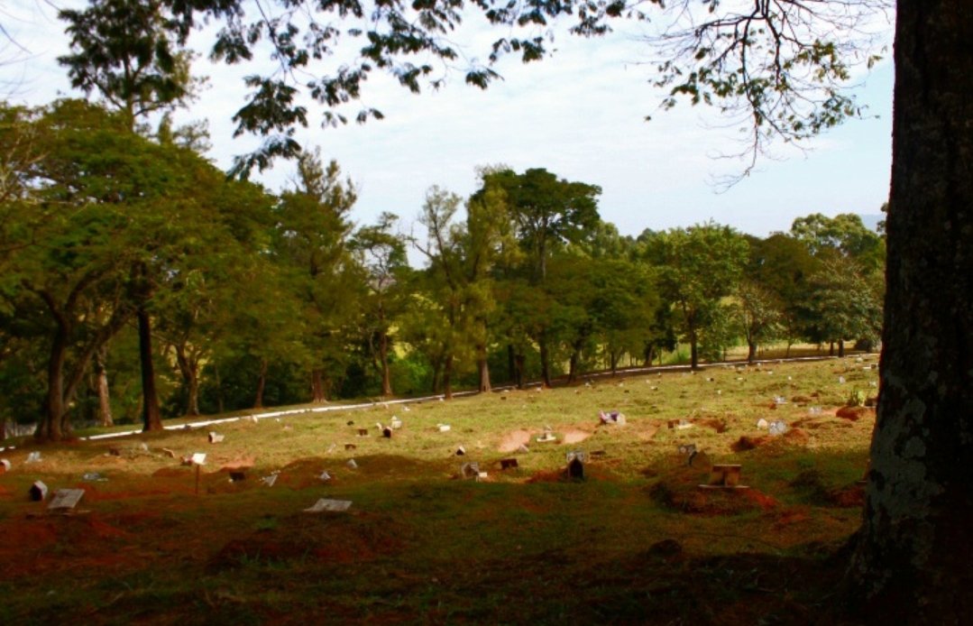 Vala de Perus Cemitério Dom Bosco - Foto: Jackeline Macedo 