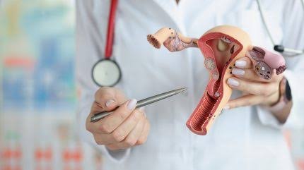 Foto: H_Ko/Shutterstock.com