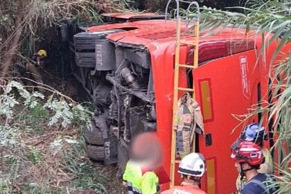 Ônibus caído em aterro coberto de vegetação - Foto: Reprodução/Sky News
