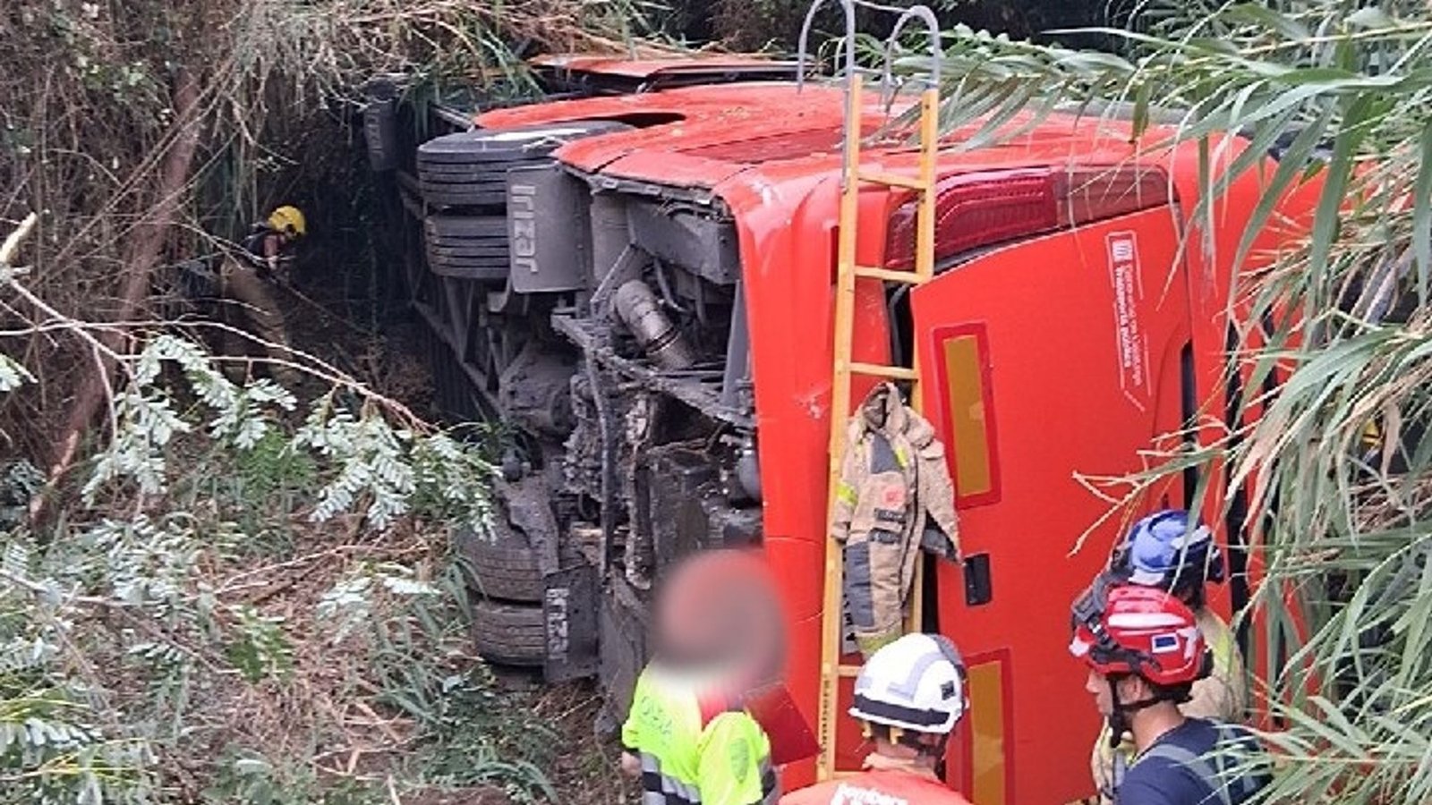 Ônibus caído em aterro coberto de vegetação - Foto: Reprodução/Sky News
