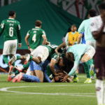 Foto: Cesar Greco/Palmeiras