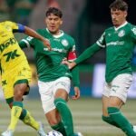 Mirassol x Palmeiras se enfrentam pela 33ª rodada do Brasileirão. Foto: Miguel Schincariol/ GettyImages