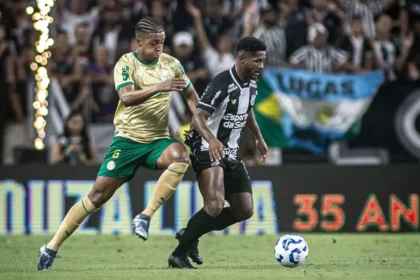 Partida entre Ceará e Palmeiras, pela Copa do Brasil de 2025 (Foto: Felipe Santos/Ceará SC)
