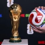 Márcio Machado / FIFA