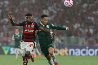 Palmeiras e Flamengo protagonizam a maior rivalidade do futebol brasileiro dos últimos anos (Foto: Wagner Meier/Getty Images)