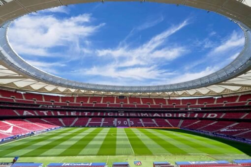 Imagem: Yuri Turkov/Shutterstock